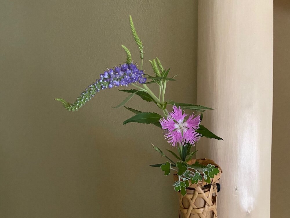 「水無月」で美味しい邪気払い