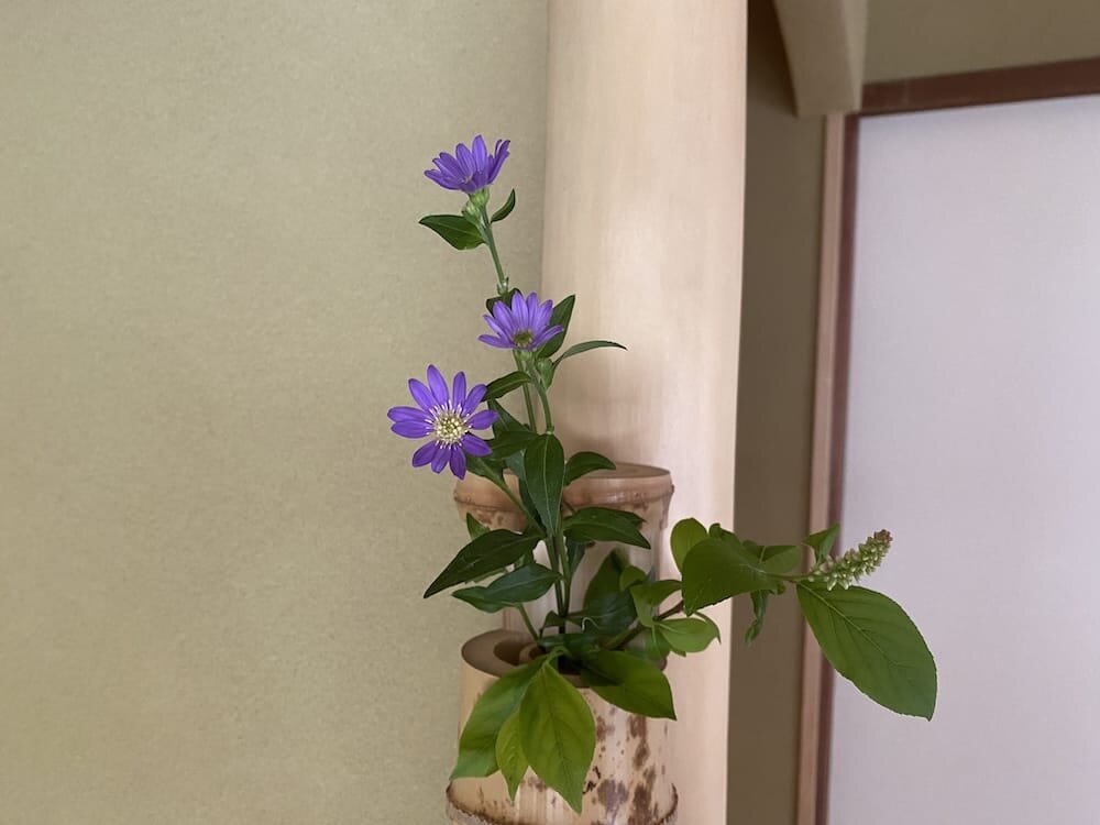 今週のお花とお菓子