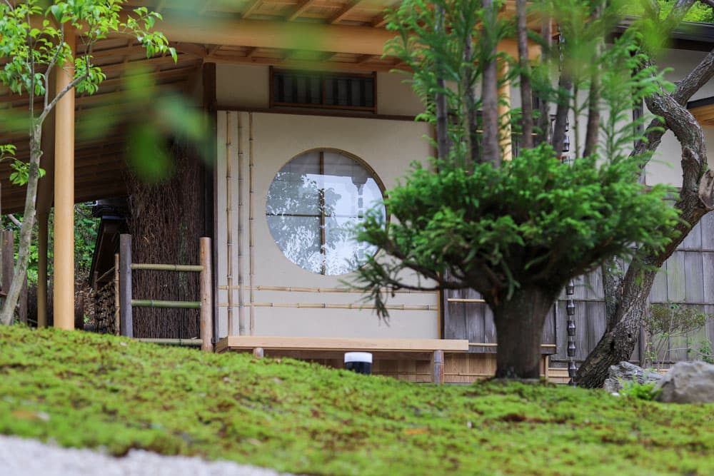 NOA茶道教室 見学イメージ